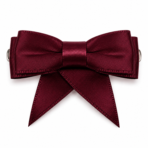 Dancer Ribbon Bow Clip All