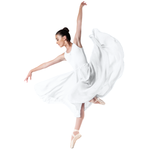 Chiffon Character Skirt Adult