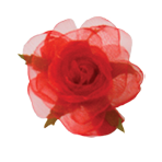 Flower Clip 09