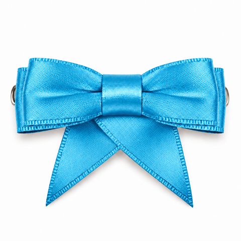 Dancer Ribbon Bow Clip All