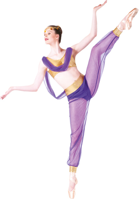Princess Jasmine Adult