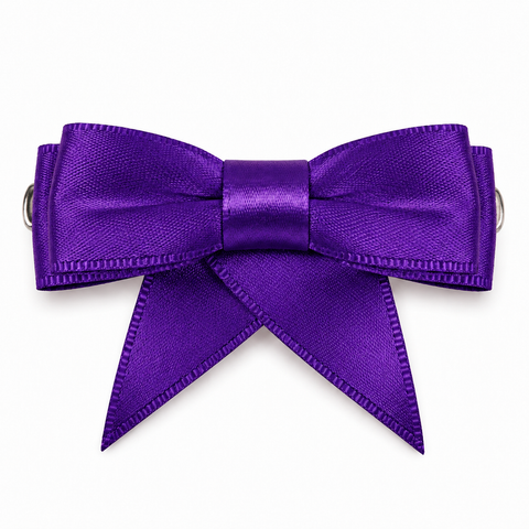 Dancer Ribbon Bow Clip All