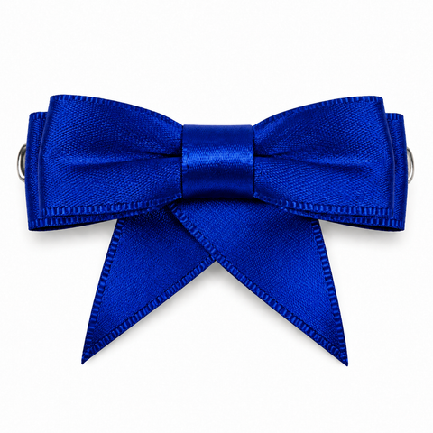 Dancer Ribbon Bow Clip All