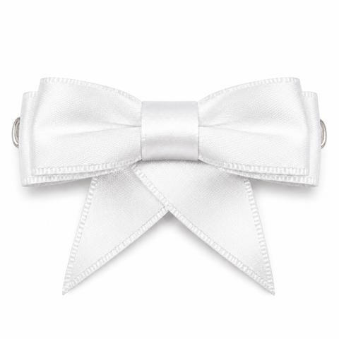 Dancer Ribbon Bow Clip All
