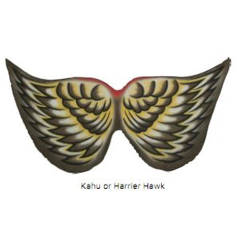 Bird Wings Harrier Hawk Child