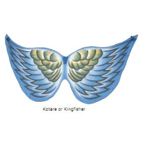 Bird Wings Kingfisher Child