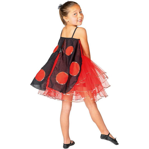 Ladybird Fairy  Child